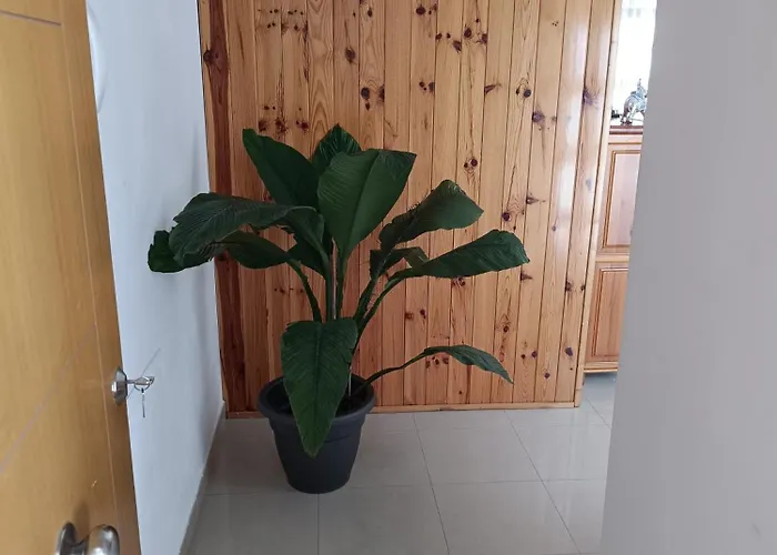 Vv Manorosa Apartment *